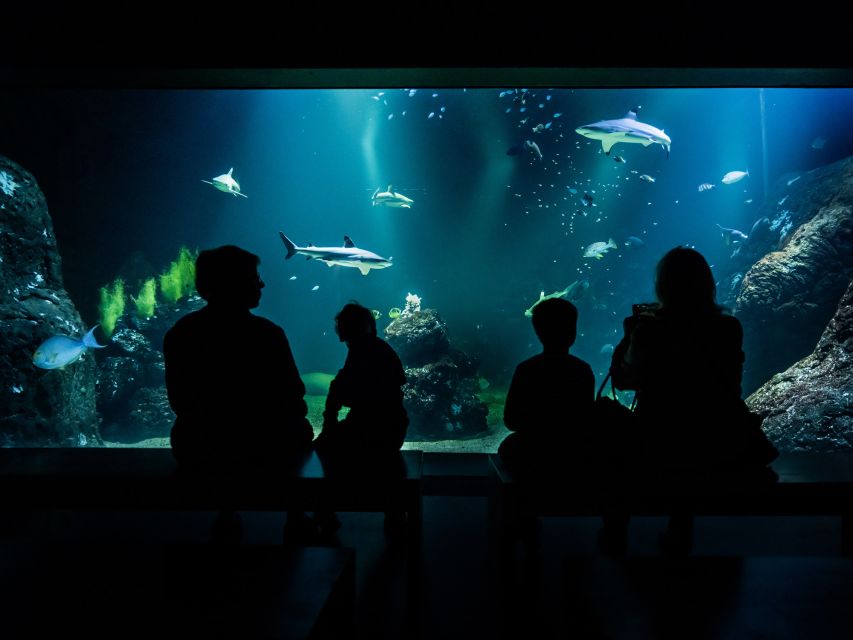 Gothenburg: Universeum Entry Ticket - Visitor Ratings and Feedback