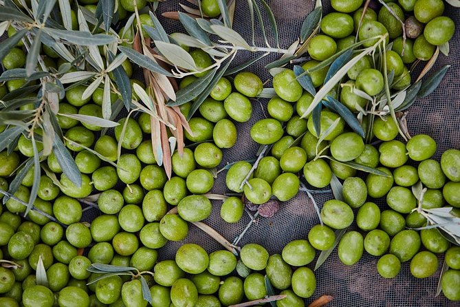 Gourmet Cooking Class & Culture in the Rural Montes De Malaga. - Pricing Structure and Reviews
