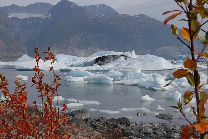 Grand Knik Helicopter Tour - 2 Hours 3 Landings - ANCHORAGE AREA - Seasonal Considerations