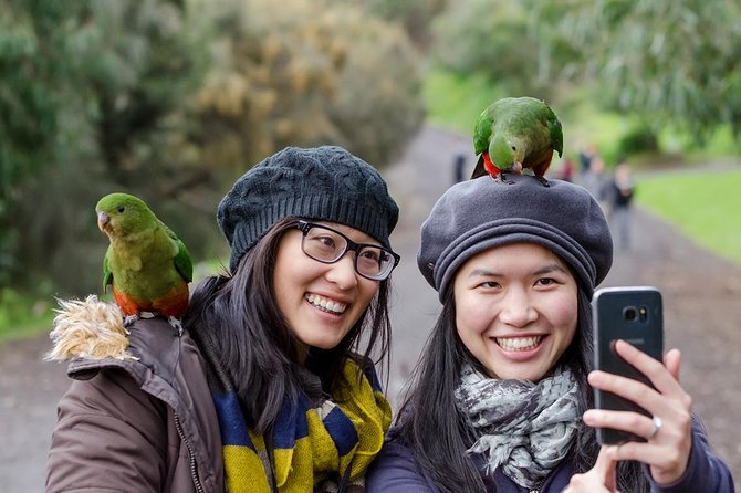 Great Ocean Road and 12 Apostles Full-Day Trip From Melbourne - Booking Information