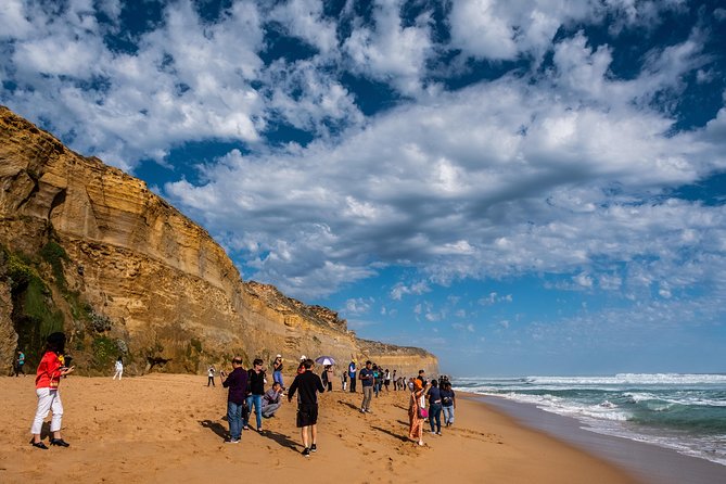 Great Ocean Road Small-Group Ecotour From Melbourne - Pricing and Special Offers