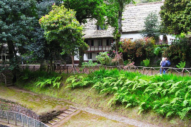 Green Cauldron Levada Walk From Funchal - Traveler Reviews and Insights