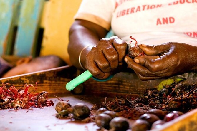 Grenada in a Nutshell- Deluxe Island Tour - Local Cuisine and Dining Options