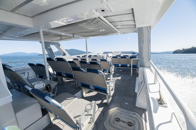 Guaranteed Dolphin and Whale Watch Tour in Kona - Accessibility and Restrictions