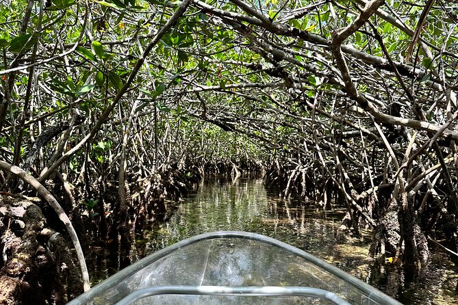 Guided Clear Kayak Eco-Tour Near Key West - Booking Process and Pricing