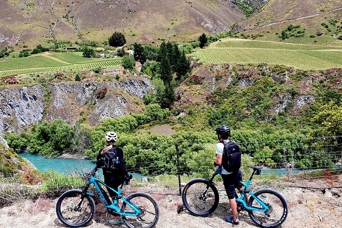 Guided Ebike Wine Tour Ride to the Vines - Reviews and Guest Experiences