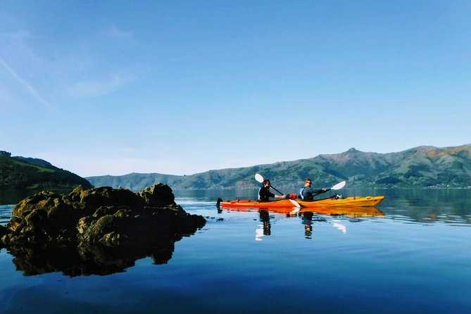 Guided Electric Mountain Bike & Sea Kayak Tour in Akaroa - Traveler Experiences and Reviews