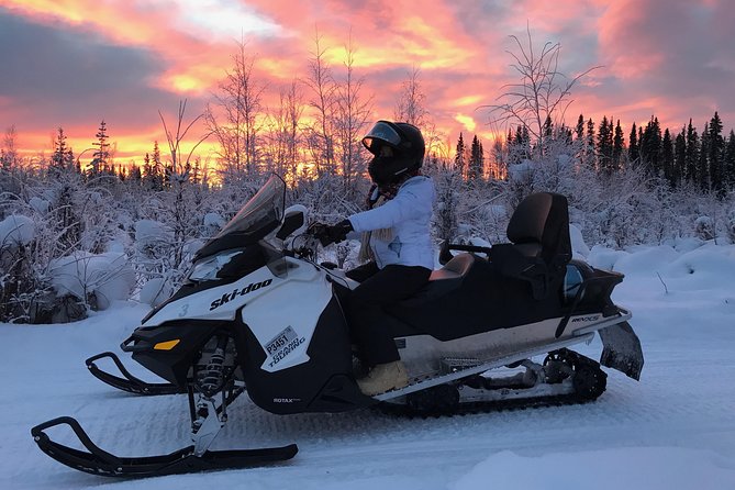 Guided Fairbanks Snowmobile Tour - Recap