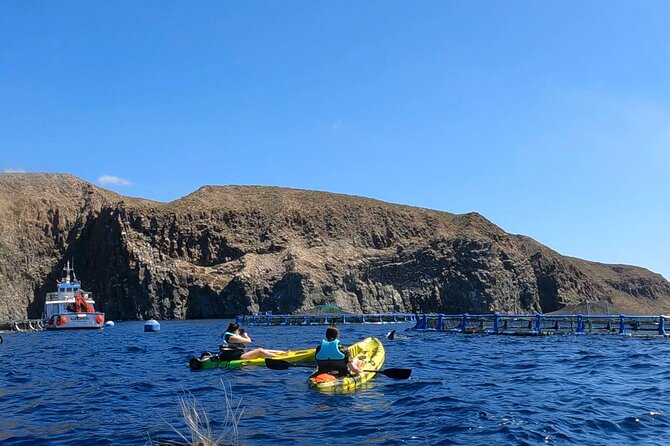 Guided Kayak Tour From Los Cristianos Beach Tenerife - What to Expect