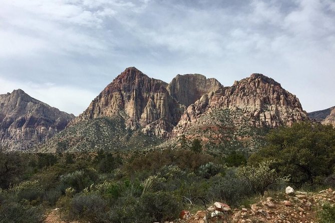 Guided or Self-Guided Road Bike Tour of Red Rock Canyon - Recommendations for Cyclists