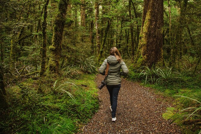 Guided Private Milford Sound Day Tour From Te Anau(Cruise Included) - Unique Tour Features