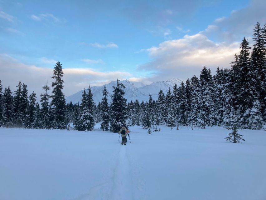 Guided Snowshoeing Adventure From Seward, Alaska - Scenic Viewpoints