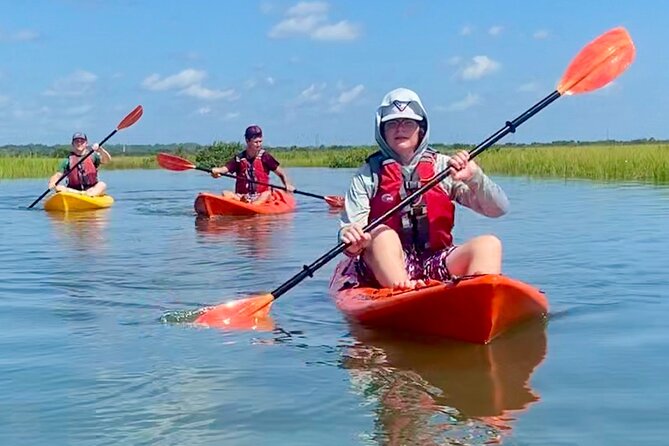 Guided Tour for Dolphin & Sea Turtle Observation in Saint Augustine, Florida - Customer Support and Feedback