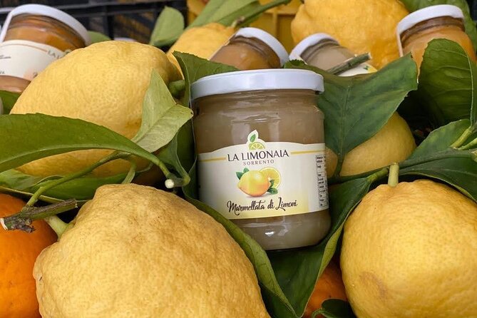 Guided Tour of a Historic Lemon Grove in Sorrento - Recommendations for Visitors