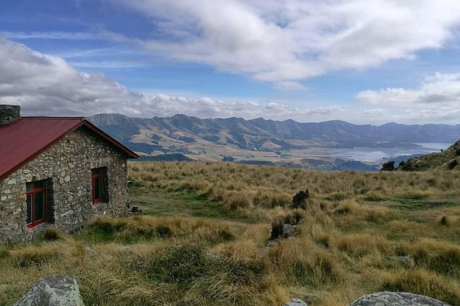 Guided Walk & Scenic Drive From Christchurch- Port Hills & Packhorse Hut - Transportation Information