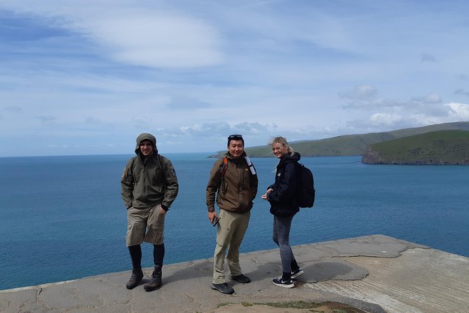 Guided Walking Tour & Scenic Drive Form Christchurch - Lyttelton & Godley Head - Accessibility Information