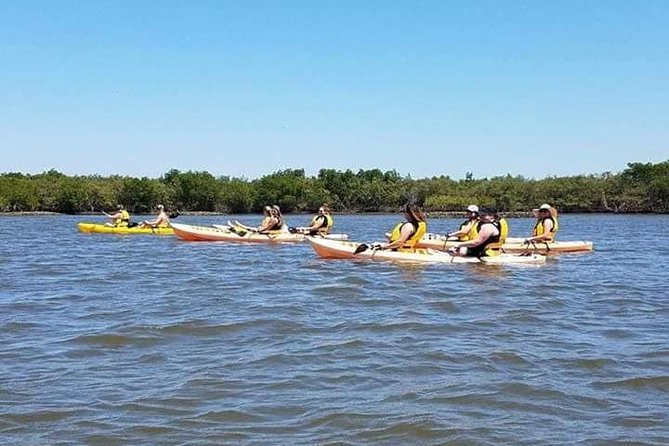 Guided Wildlife Eco Kayak Tour in New Smyrna Beach - Recommendations for Participants