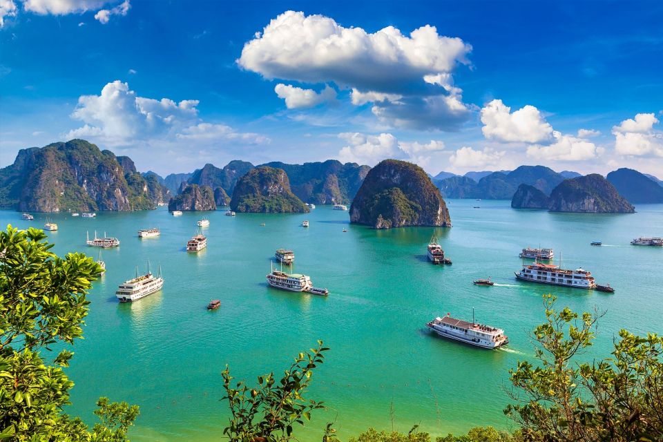 Ha Long Bay 2 Days 1 Night - 5 Star Cruise - Customer Reviews