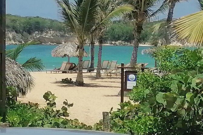 Half-Day City Tour Cultural From Punta Cana for Small Group - What to Expect on the Tour