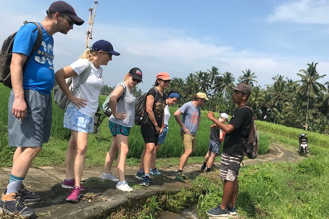 Half-Day Electric Fat Bike Tour of Ubud - Visiting Local Attractions