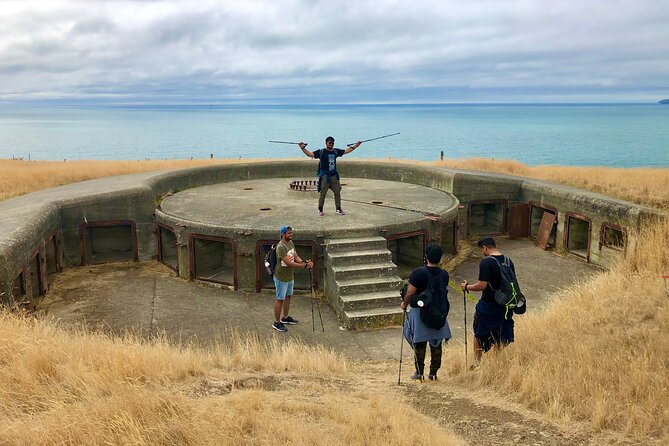 Half Day Guided Walking Tour on Banks Peninsula - What to Expect