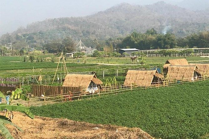 Half-Day Hilly E-Bike Adventure (Fully Paved Roads, Guided) - Ride Through Rice Paddies