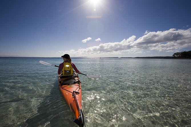 Half-Day Jervis Bay Sea Kayak Tour - Participant Feedback