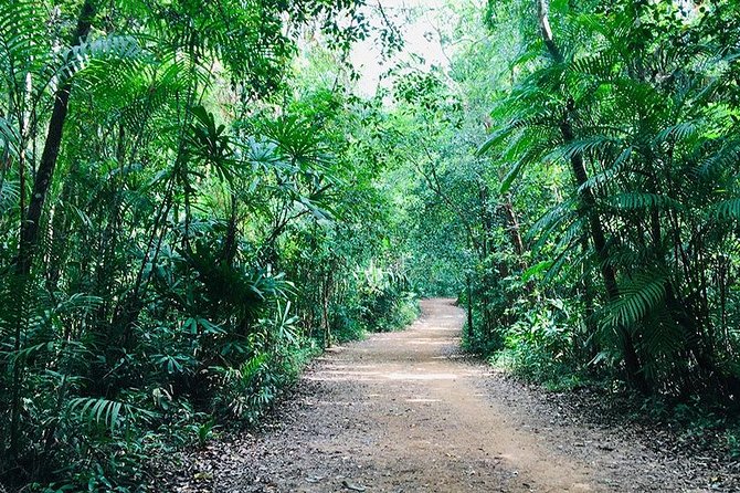 Half Day Jungle Tour to Emerald Pool and Krabi Hot Spring - Tips for a Great Experience