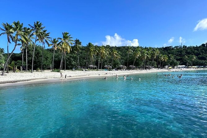 Half Day Luxury Catamaran Turtle Snorkel And Beach - Additional Information