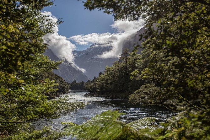 Half-Day Milford Track Guided Hiking Tour - Booking Information