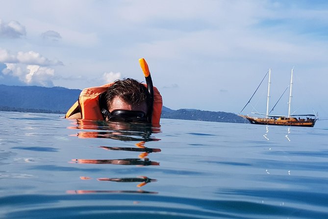 Half-Day Pig Island & Snorkeling Experience - Highlights