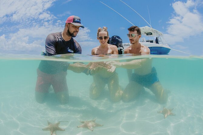 Half-Day Private Stingray City Charter - Grand Cayman - BTC - Booking Process