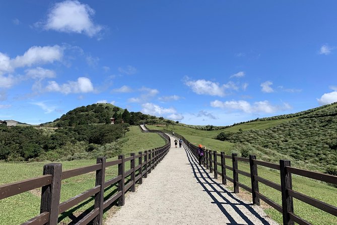 Half Day Private Tour to Yangmingshan National Park and Yehliu Geopark - Traveler Experience