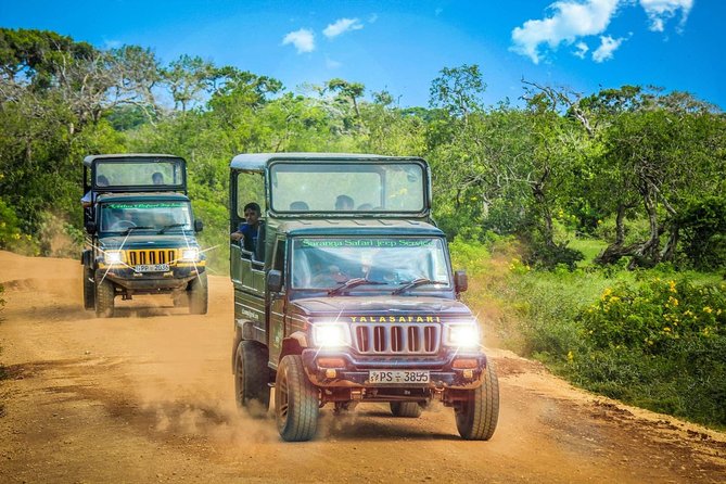 Half Day Safari at Yala National Park With Lunch - Essential Tips for Travelers
