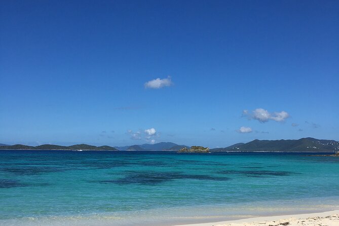 Half Day Sail and Snorkel With the Turtles - Highlight: Turtle Biology