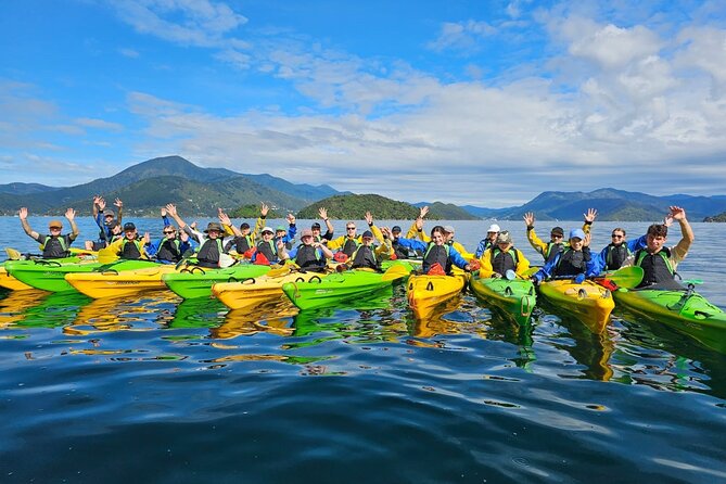 Half Day Sea Kayak Guided Tour From Picton - Recommendations for Participants