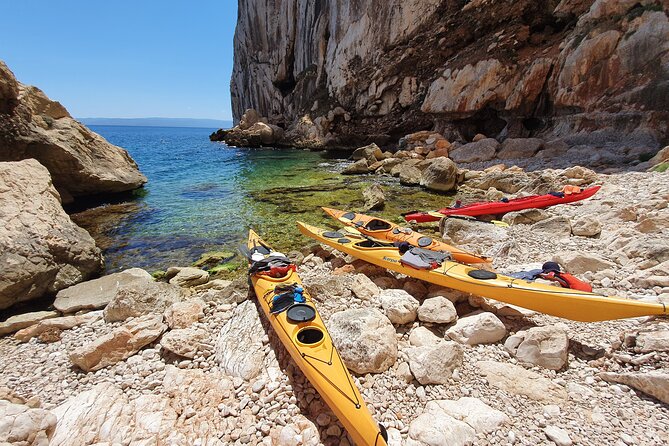 Half Day Sea Kayak Trip - Tour Duration