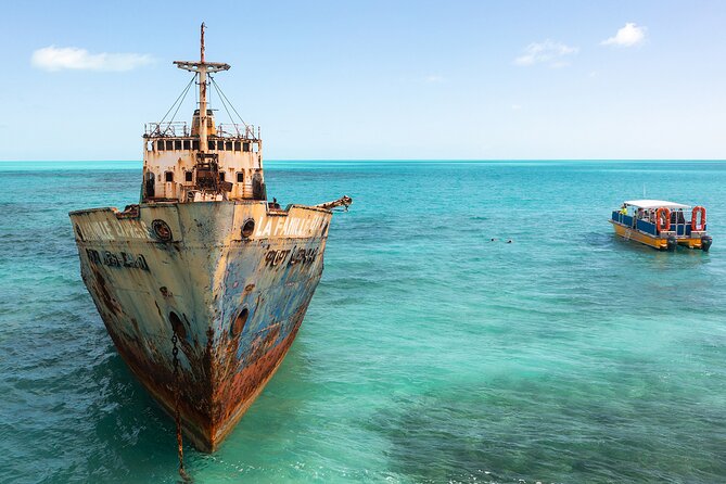 Half-Day Shipwrecks Tour and Floating Bar, Adults Only - Tips for a Great Experience