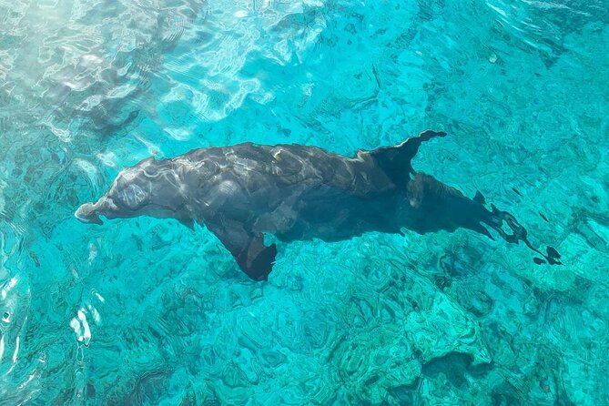 Half Day Snorkeling, Sightseeing & Island Hopping Private Charter (Afternoon) - Customizable Itinerary