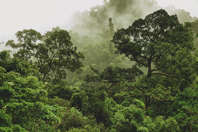 Half Day : Sok River + Monkey Temple + View Point - Pickup Information and Logistics