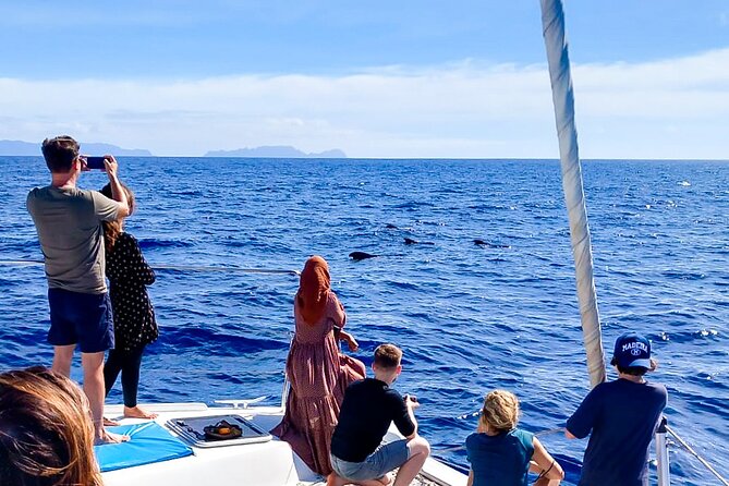 Half Day Tour on a Luxury Catamaran on Madeira Island - Cancellation Policy