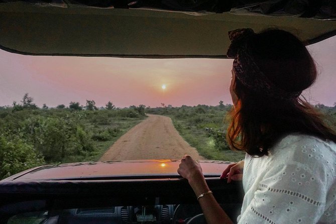 Half Day Udawalawe Safari From Kalutara (Entrance + Lunch) - Customer Reviews