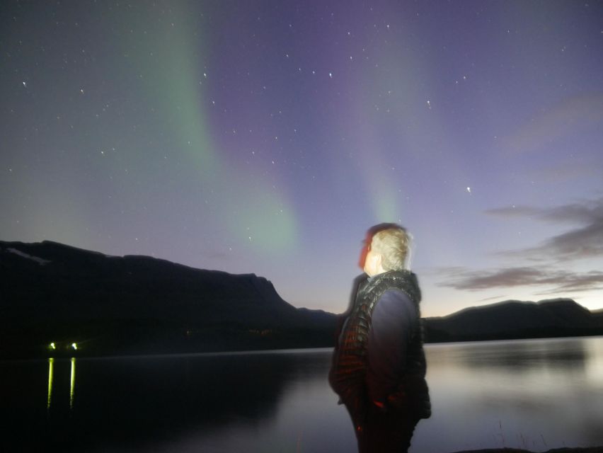 Harstad/Narvik/Tjeldsund: Northern Lights Sightseeing by Car - Best Time for Northern Lights