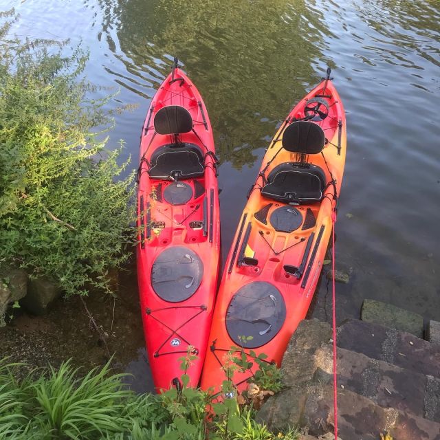 Heidelberg: 2-Hour Kayak Tour - Customer Feedback