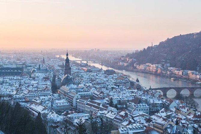 Heidelberg Castle and Old Town Tour From Frankfurt - Accessibility Features