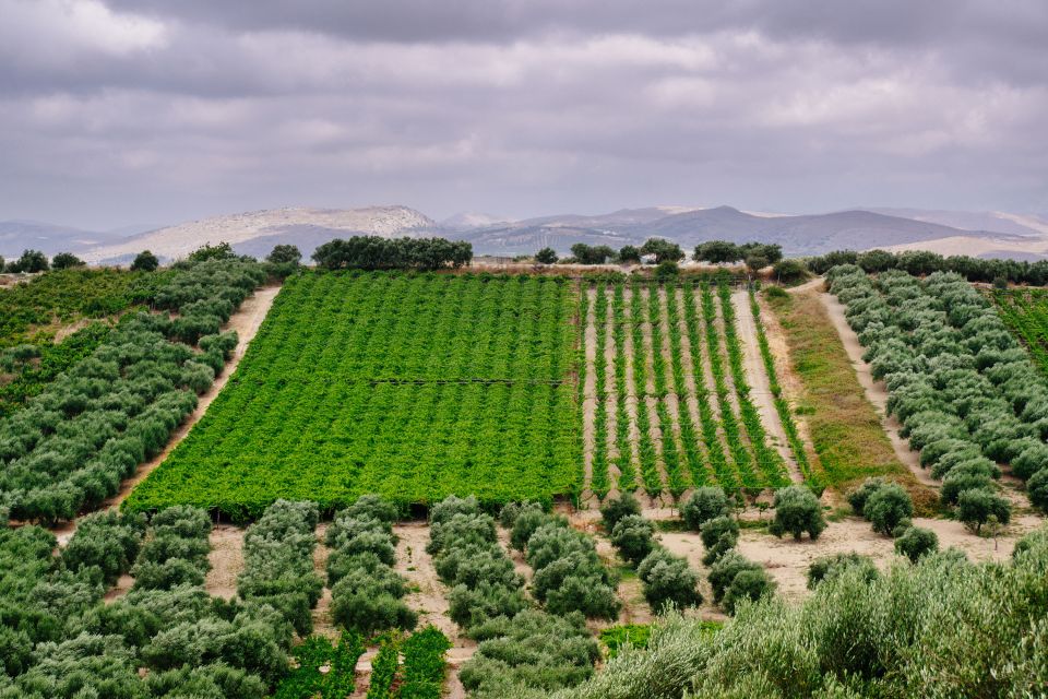 Heraklion: Private SUV Wine Tour With Lunch - Important Information