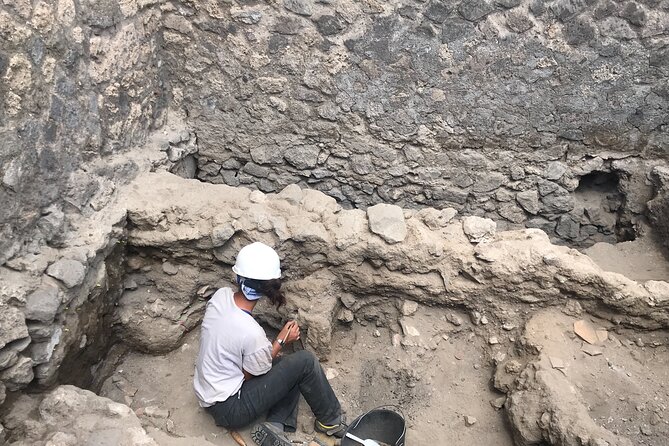 Herculaneum Private Tour With an Archaeologist - Accessibility and Meeting Point