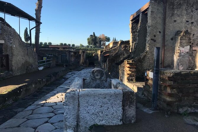Herculaneum - Small Group Tour - Tour Reviews and Ratings
