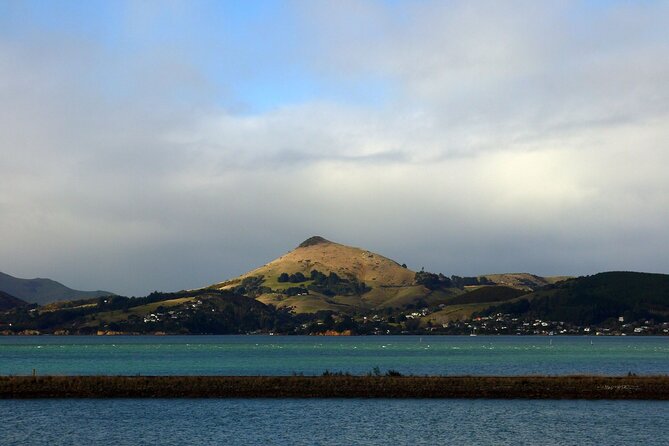 Heritage City and Larnach Castle Van Tour With Historian Guide - Traveler Testimonials