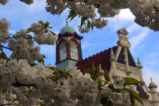 Heritage Dunedin City Walking Guided Tour | Travel Buddies